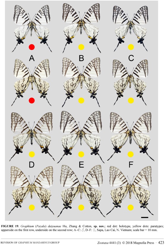 123F9AF60D39478CC3CFFD091E7_5E805157_27C15.jpg 123F9AF60D39478CC3CFFD091E7_5E805157_27C15.jpg